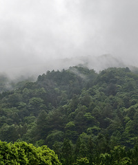 四面山真的是四面都是山