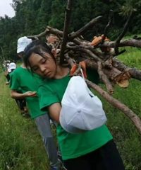 2025Ȥ��ɽҰ����Ӫ2.0��