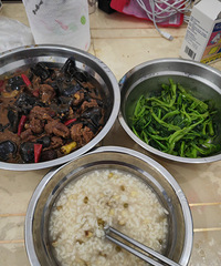 �����Ƽ����ݽ�ţ����Ұ������