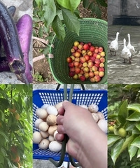 ��ĸ�ں�԰����ũ��ҵ���ҳ���������