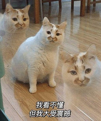 ���޳ɽ�����ʲô��˼��