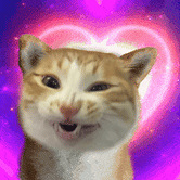 ֵӡҳֽ525ȸĤ30Ƭ31