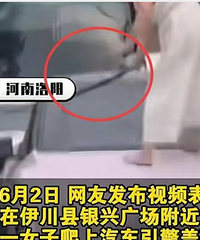 Ů�Ӵ��Ҷ���������������Ƶ�ع�ԭ���������Ը��