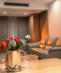 �Լ�������-ɳ����������˫��С���ڻ鷿