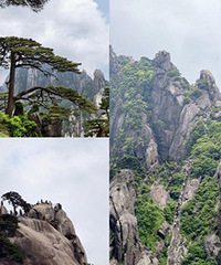 ���鲻�þ�ȥ����ɽ�ɣ�̫��ѹ��