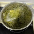 侧柏叶洗头是智商税吗