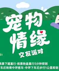 宠物情缘交友派对,摇尾派对集结令,解锁人宠社交新方式