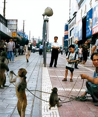 1990年的重庆老照片