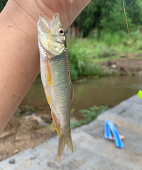 �����ϰٹ����������������