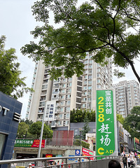 凑个热闹,去赶了个场