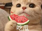 分享一些我听到的、看到的奇葩事