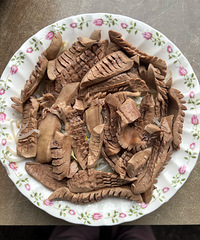 ������Ƭ��������