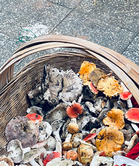 ����С����������ˣ����������˼��̻���