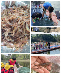 צצѣĩڼߣèߣˣⵥɶԵ