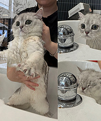 ���ǵ�è��ϴ��Ҳ������ί���Ͱ͵�