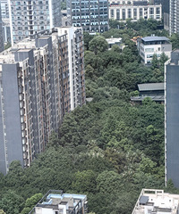 重庆小区的绿化程度惊呆我了