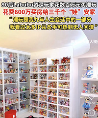 90后Labubu玩家,花600万买房给3000个娃安家