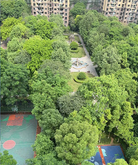 ����С�����̻��̶Ⱦ������ˣ�ï�̶ܳȿ���ֲ��԰