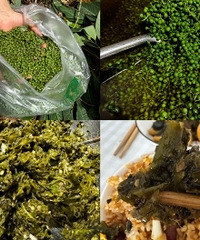 ����ľ�����ͣ��������г��ĵ�ζ����