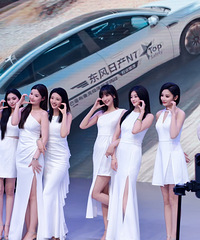 �����ϵ�䳵չ����Ҫ����ģ������ý����