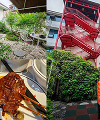 ��һ���ĳɶ��Σ�������޺��տ�ǿ��