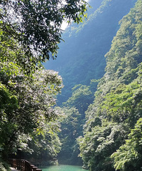 重庆版华山,不到金佛山非好汉,不过景色确实不错