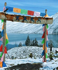 ���챾���ˣ�ȫ��෿+�������ݸ�ĸ���޴�ѹ��Ѱϱ��