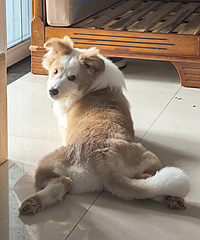 ˧��˧��������̫������