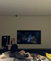 九二零|依然很爱我五年前设计的家