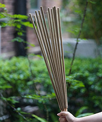 ��԰�����Ƽ������������