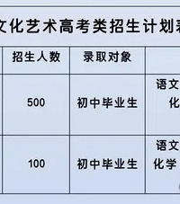 考不上普高就只能读职高?在重庆还有第三条出路