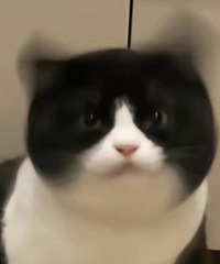 �ҽ���Ұֽ�����һ��Ů�ѣ������ص����ܱ��ҷ�����