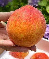 ����ƽ�����1�����ܳ�3��