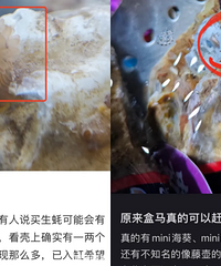 重庆人又开始流行在超市赶海了!