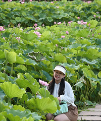 ���ڷ���ҡҷ���·�����һ֧���ŵ��赸�������������˵�ζ��