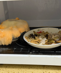 ����ʲô����