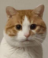 93195CMС飬ϣԷ92~99