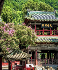 不转高铁、不开长途,周末2天玩转九寨沟!