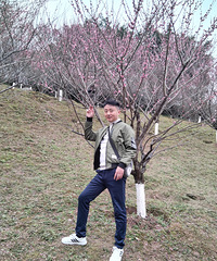 88178CMĹС飬ϣԷ155