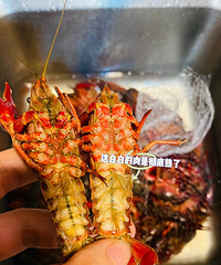 亲身体验之洗碗机洗小龙虾,一步到位直接洗熟了?