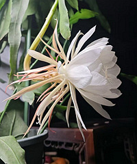 �����һ��꼻����ˣ�����