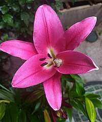 �ٺϿ����ˣ����ǵ���