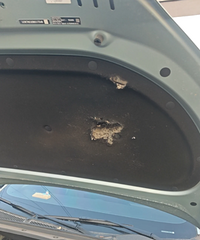 ����ǵĸ����޳���������֪�����յĻ�����ôŪ��