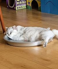 è�ȵ�˯�����ˣ����ǵ���