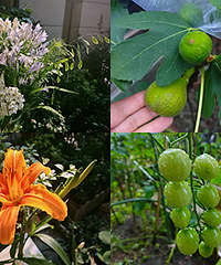 �������԰��ˮ���߲�ˮ������Ĳ���