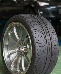 ����֪�����èè̥����������̫�ɰ���������