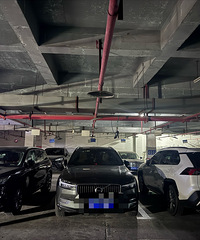 ���������ӡ�ͣһ�ţ����������������й����ھ�