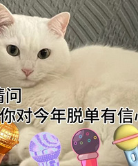 把相亲当成面试后,我悟了!主打一个拒绝内耗、高效率、不走弯路