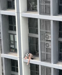 震惊!今早看到隔壁楼10楼的空调位坐着个小伙儿