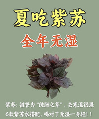 夏天多喝紫苏饮,全年都没湿气!这6种搭配,各有各的功效
